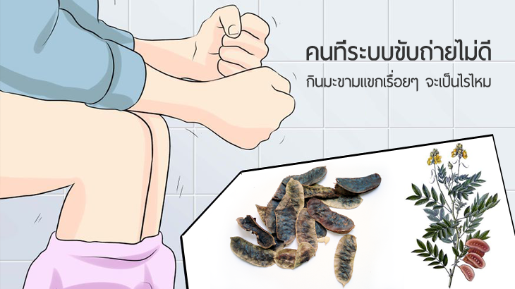 คนที่ระบบขับถ่ายไม่ดี กินมะขามแขกเรื่อยๆจะเป็นไรไหม